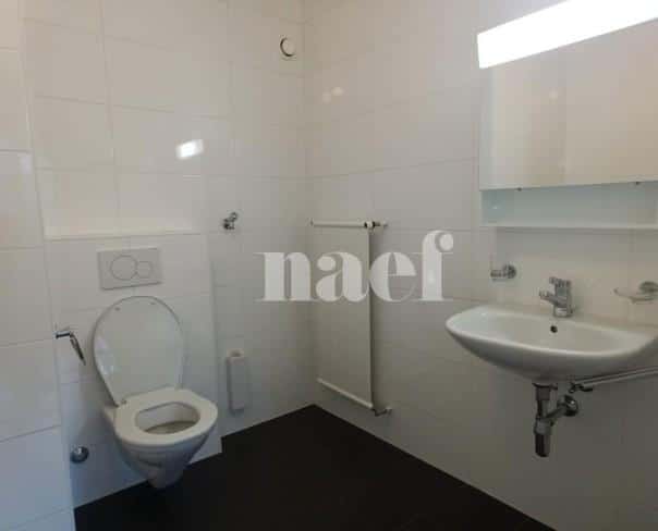 À louer : Appartement 2.5 Pieces Genève - Ref : 211216.4045 | Naef Immobilier