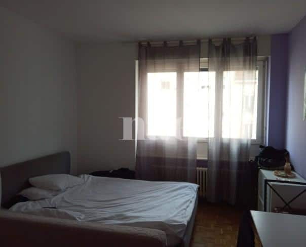 À louer : Appartement 1.5 Pieces Genève - Ref : 212195.5008 | Naef Immobilier