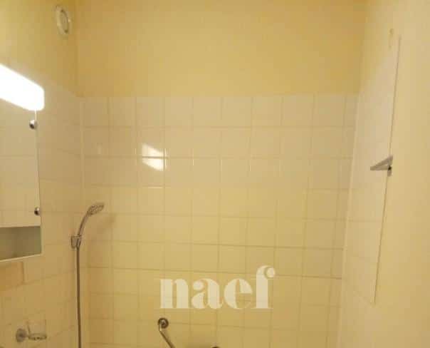 À louer : Appartement 1.5 Pieces Genève - Ref : 212195.6009 | Naef Immobilier