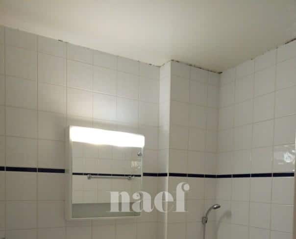 À louer : Appartement 4.5 Pieces Genève - Ref : 212198.5005 | Naef Immobilier