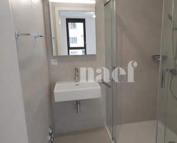 À louer : Appartement 2 Pieces Genève - Ref : 212203.7002 | Naef Immobilier