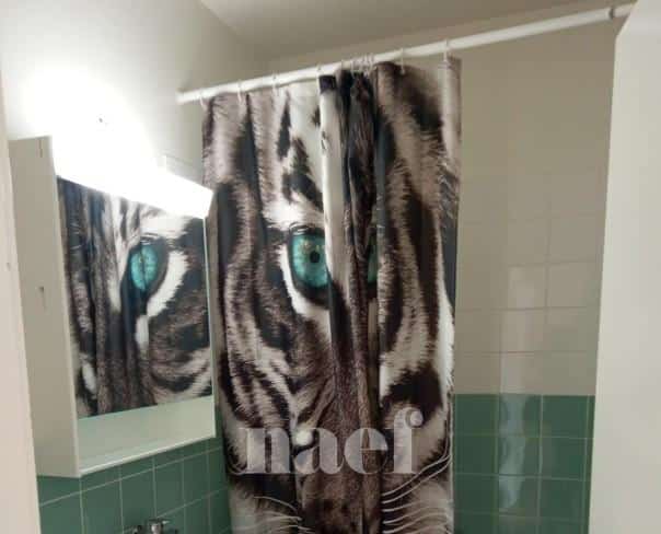 À louer : Appartement 4 Pieces Grand-Lancy - Ref : 212206.5001 | Naef Immobilier