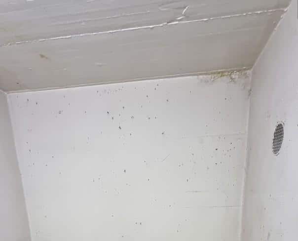 À louer : Dépôt Genève - Ref : 212407.62004 | Naef Immobilier