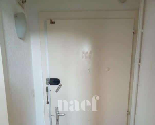 À louer : Appartement 2 Pieces Carouge Ge - Ref : 212423.3005 | Naef Immobilier