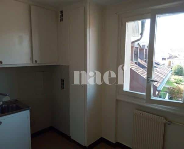 À louer : Appartement 2 Pieces Carouge Ge - Ref : 212423.3005 | Naef Immobilier