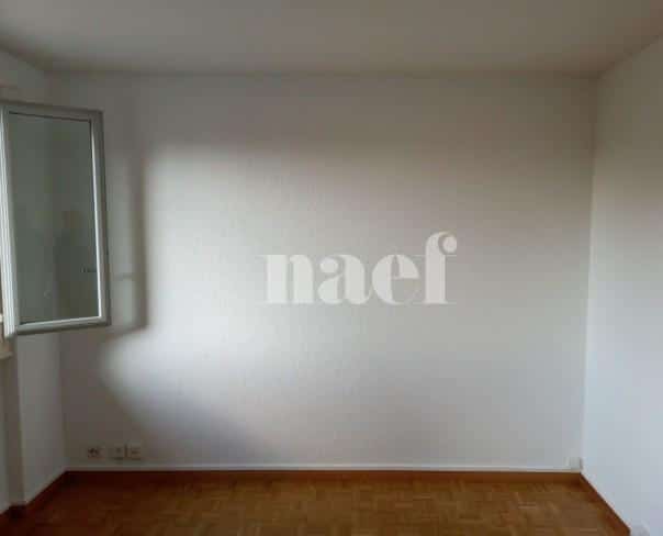 À louer : Appartement 2 Pieces Carouge Ge - Ref : 212423.3005 | Naef Immobilier
