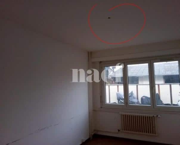 À louer : Appartement 3 Pieces Chêne-Bourg - Ref : 212483.1 | Naef Immobilier