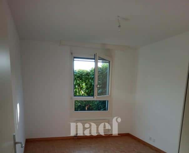 À louer : Appartement 3 Pieces Petit-Lancy - Ref : 212662.1 | Naef Immobilier