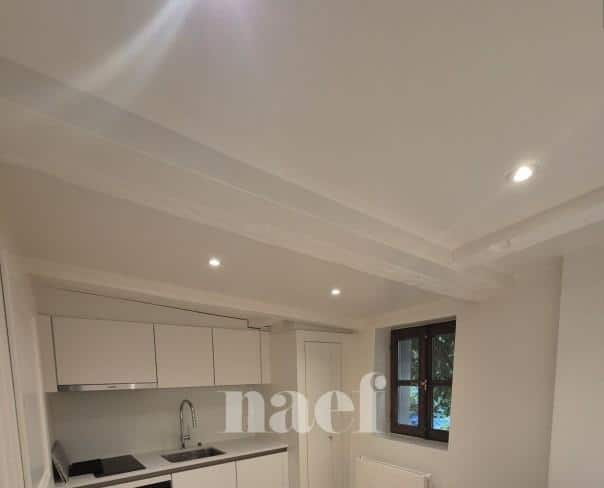 À louer : Appartement 2 Pieces Genève - Ref : 212814.1 | Naef Immobilier