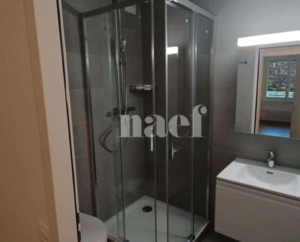 À louer : Appartement 6 Pieces Genève - Ref : 213953.2021 | Naef Immobilier