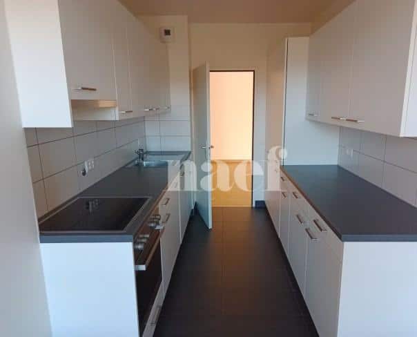 À louer : Appartement 6 Pieces Genève - Ref : 213953.2021 | Naef Immobilier