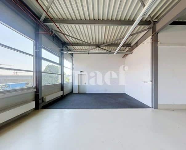 À louer : Surface Commerciale Atelier Nyon - Ref : 214161.1007 | Naef Immobilier