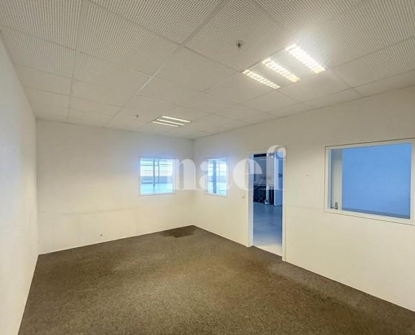 À louer : Surface Commerciale Atelier Nyon - Ref : 214161.1007 | Naef Immobilier