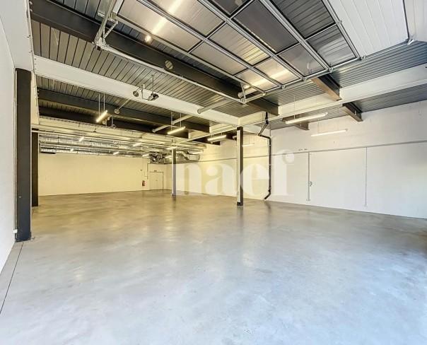 À louer : Surface Commerciale Bureau Puidoux - Ref : 214177.13 | Naef Immobilier