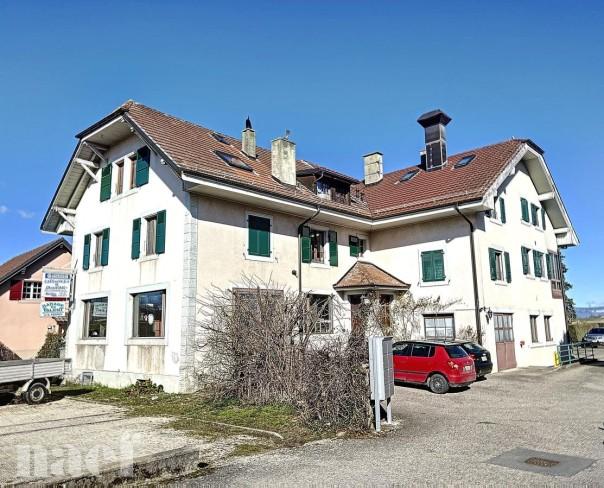 À louer : Surface Commerciale Atelier Saint-Barthélemy - Ref : 214219.1 | Naef Immobilier