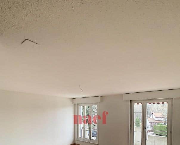 À louer : Appartement 4.5 Pieces Epalinges - Ref : 214438.3 | Naef Immobilier