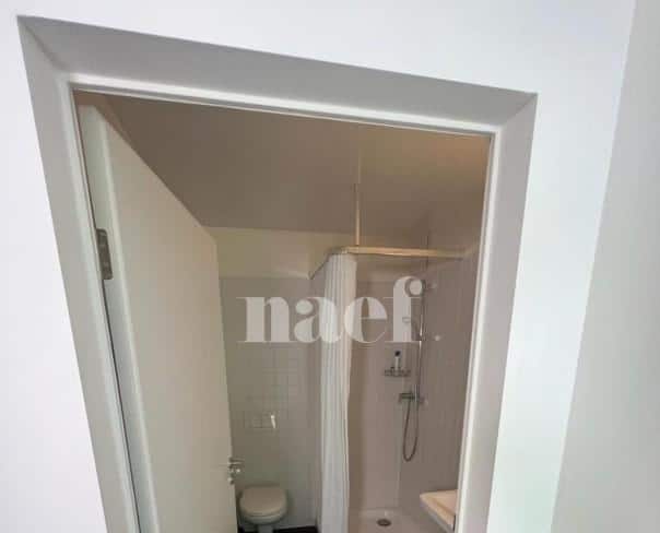 À louer : Appartement 1 Pieces Lausanne - Ref : 214521.2031 | Naef Immobilier