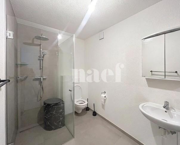 À louer : Appartement 1 Pieces Orbe - Ref : 214578.2 | Naef Immobilier