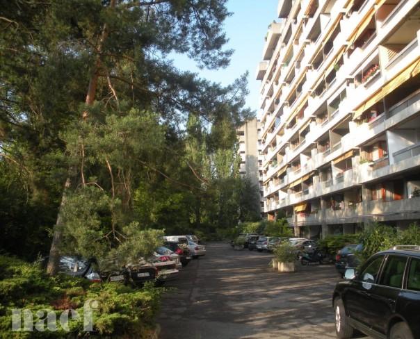 À louer : Appartement 4.5 Pieces Genève - Ref : 214698.3031 | Naef Immobilier