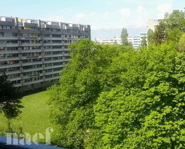 À louer : Appartement 5 Pieces Genève - Ref : 214698.6063 | Naef Immobilier