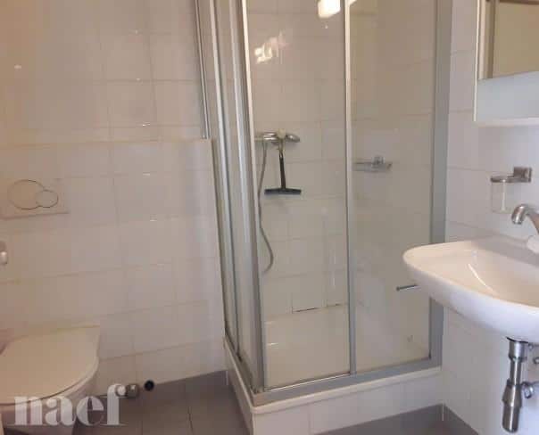 À louer : Appartement 2 Pieces Genève - Ref : 215490.4002 | Naef Immobilier