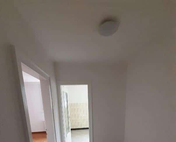 À louer : Appartement 3 Pieces Veyrier - Ref : 216445.3003 | Naef Immobilier