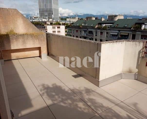 À louer : Appartement 3 Pieces Carouge Ge - Ref : 216666.6561 | Naef Immobilier