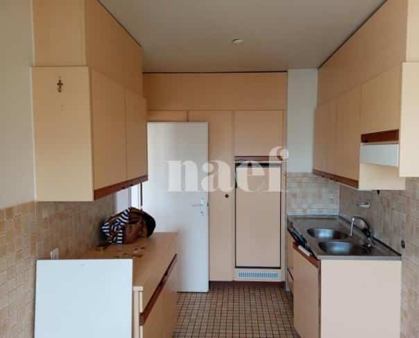 À louer : Appartement 3 Pieces Carouge Ge - Ref : 216666.6561 | Naef Immobilier