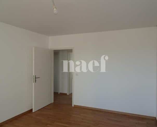 À louer : Appartement 6.5 Pieces Genève - Ref : 216915.7002 | Naef Immobilier