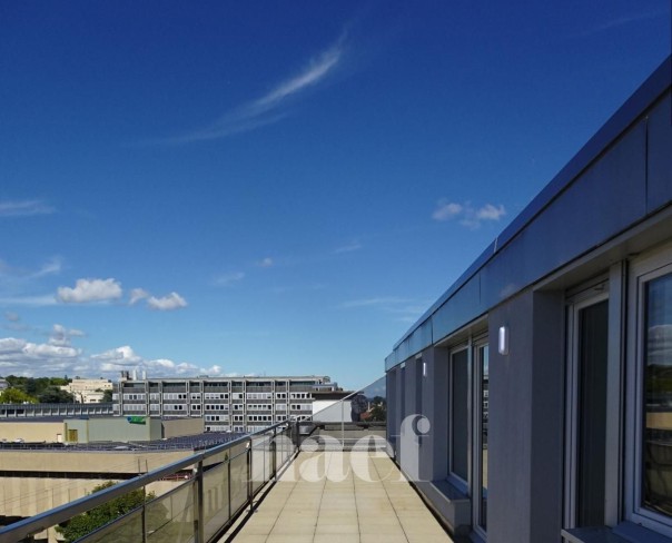 À louer : Appartement 6.5 Pieces Genève - Ref : 216915.7002 | Naef Immobilier