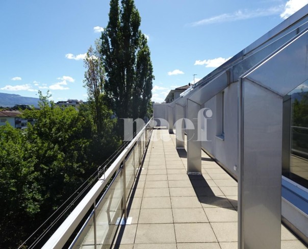 À louer : Appartement 6.5 Pieces Genève - Ref : 216915.7002 | Naef Immobilier