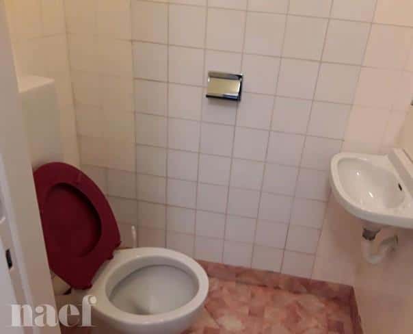 À louer : Appartement 2 Pieces Genève - Ref : 217107.1 | Naef Immobilier