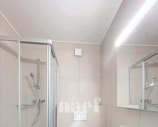 À louer : Appartement 2.5 Pieces Lausanne - Ref : 218002.1043 | Naef Immobilier