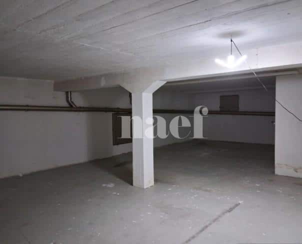 À louer : Dépôt Genève - Ref : 218199.81001 | Naef Immobilier