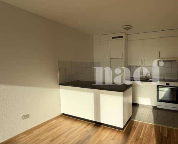 À louer : Appartement 2 Pieces Neuchâtel - Ref : 218304.2003 | Naef Immobilier