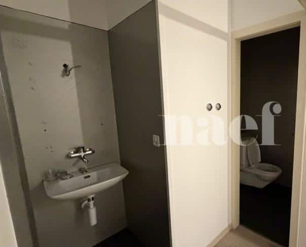 À louer : Surface Commerciale Arcade Neuchâtel - Ref : 218311.2001 | Naef Immobilier