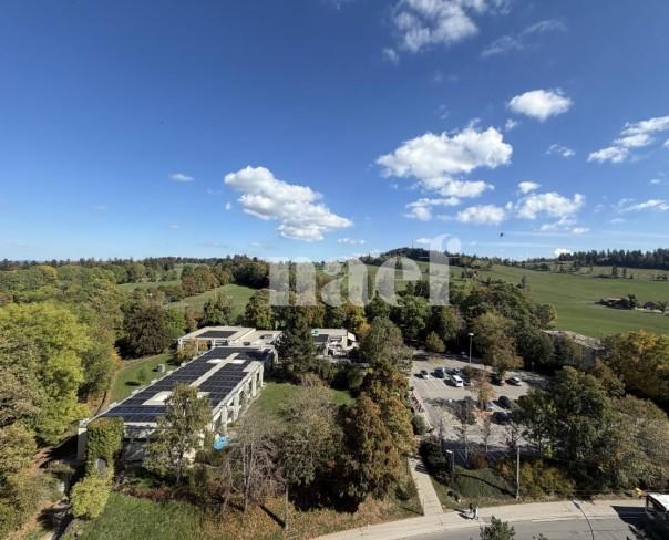 À louer : Appartement 3.5 Pieces La Chaux-de-Fonds - Ref : 219035.11002 | Naef Immobilier