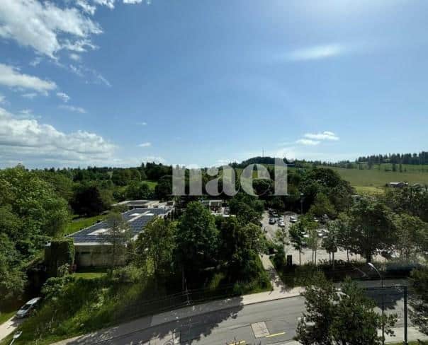 À louer : Appartement 2.5 Pieces La Chaux-de-Fonds - Ref : 219035.11003 | Naef Immobilier