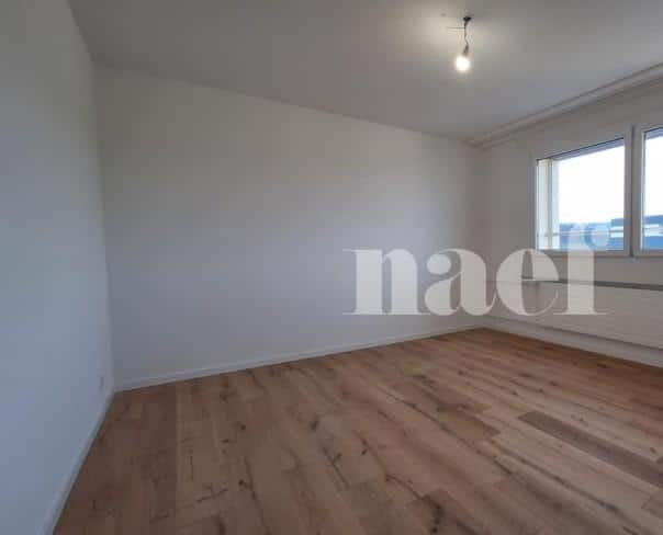 À louer : Appartement 4.5 Pieces La Chaux-de-Fonds - Ref : 219035.12004 | Naef Immobilier