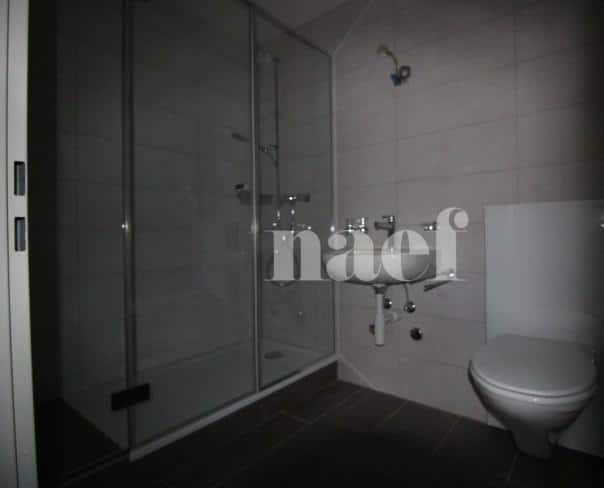 À louer : Appartement 2.5 Pieces La Chaux-de-Fonds - Ref : 219035.3003 | Naef Immobilier