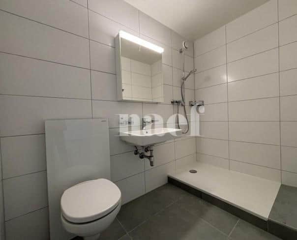 À louer : Appartement 2.5 Pieces La Chaux-de-Fonds - Ref : 219035.5003 | Naef Immobilier