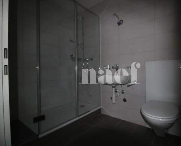 À louer : Appartement 2.5 Pieces La Chaux-de-Fonds - Ref : 219036.7002 | Naef Immobilier