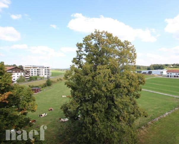 À louer : Appartement 4 Pieces Saignelégier - Ref : 219041.4003 | Naef Immobilier