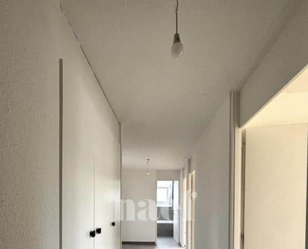 À louer : Appartement 4.5 Pieces Bevaix - Ref : 219043.4001 | Naef Immobilier