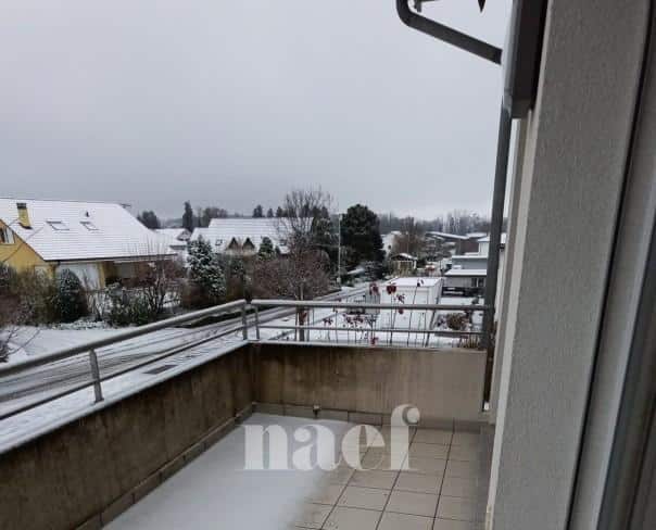 À louer : Appartement 2.5 Pieces Salavaux - Ref : 219274.1011 | Naef Immobilier