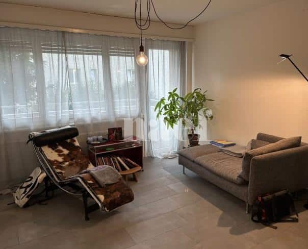 À louer : Appartement 2 Pieces Delémont - Ref : 219386.1002 | Naef Immobilier
