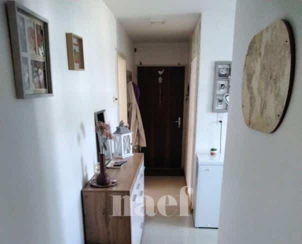 À louer : Appartement 3.5 Pieces Delémont - Ref : 219388.1001 | Naef Immobilier