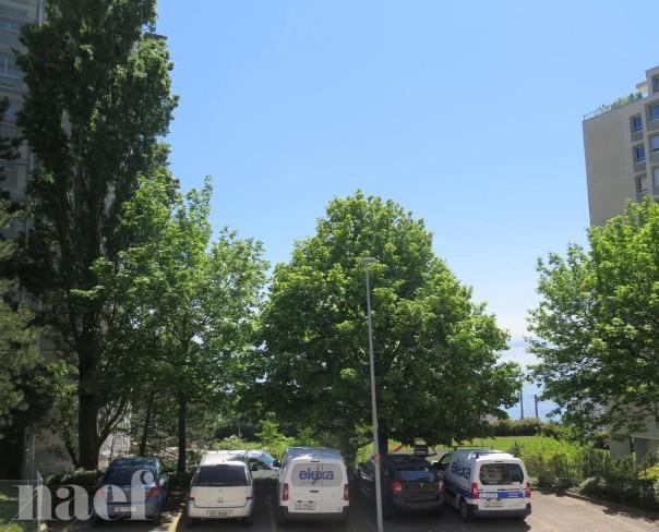 À louer : Appartement 3 Pieces Neuchâtel - Ref : 219389.1001 | Naef Immobilier