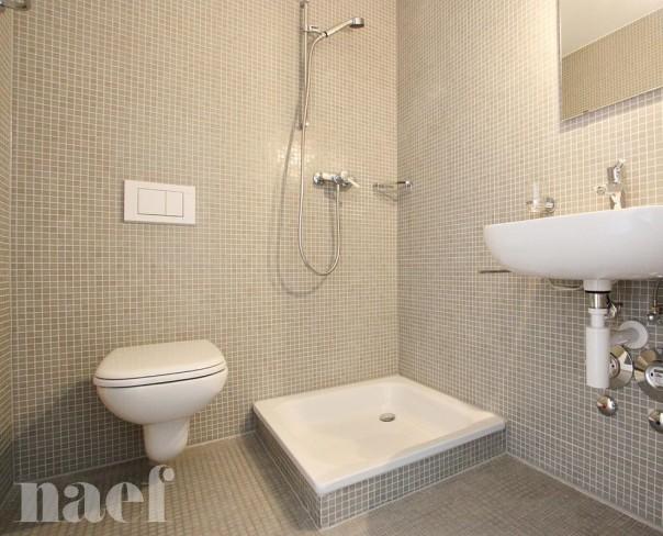 À louer : Appartement 4.5 Pieces Boudry - Ref : 219489.3001 | Naef Immobilier