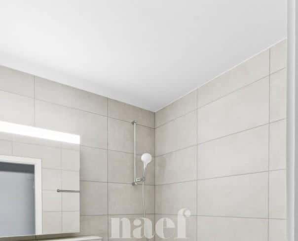 À louer : Appartement 5 Pieces Neuchâtel - Ref : 219533.2021 | Naef Immobilier